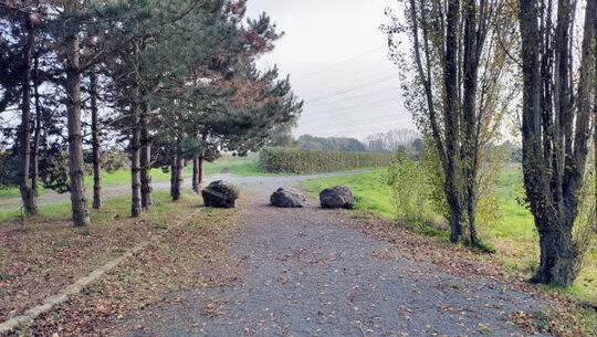 Chemin à Jo