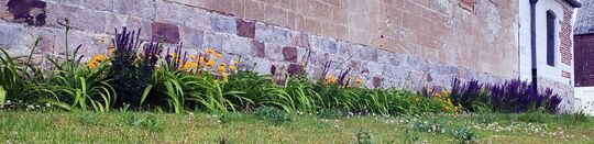 Fleurs