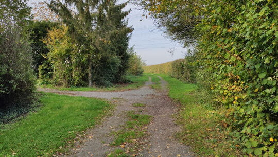 Chemin à Jo